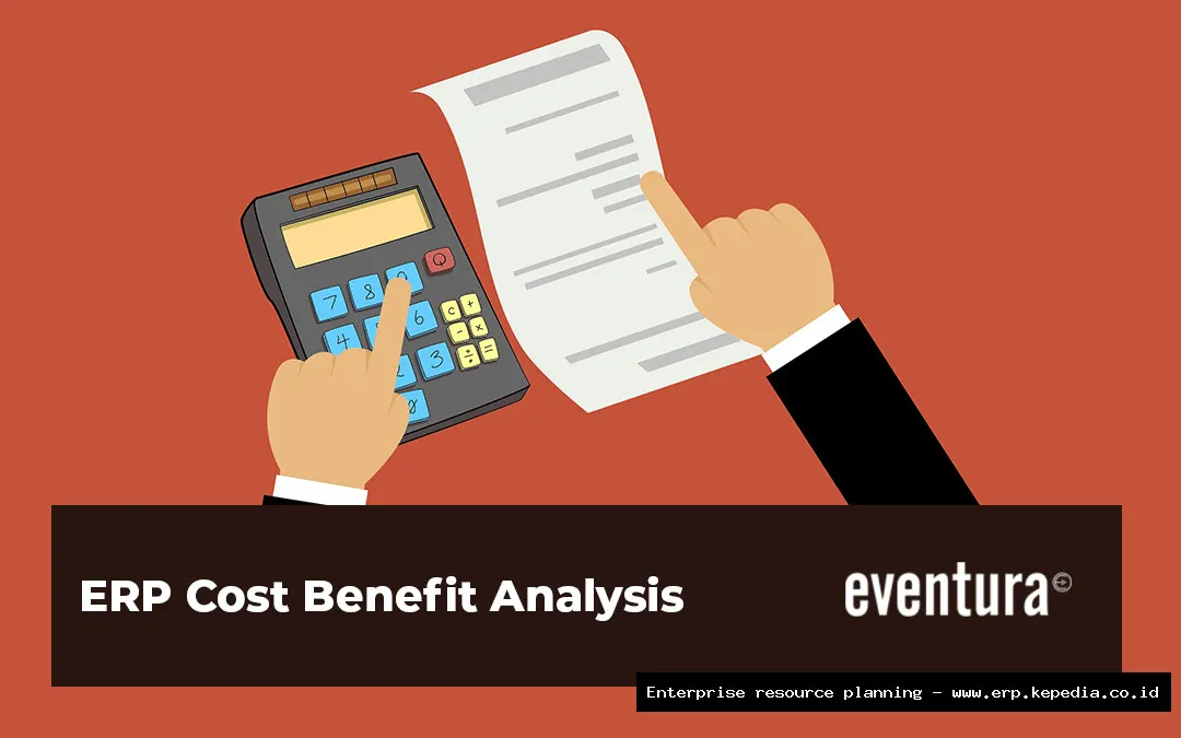 ERP system cost-benefit analysis chart
