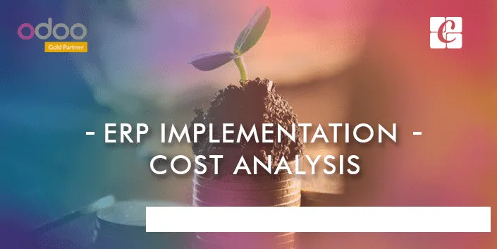 ERP system cost-benefit analysis example