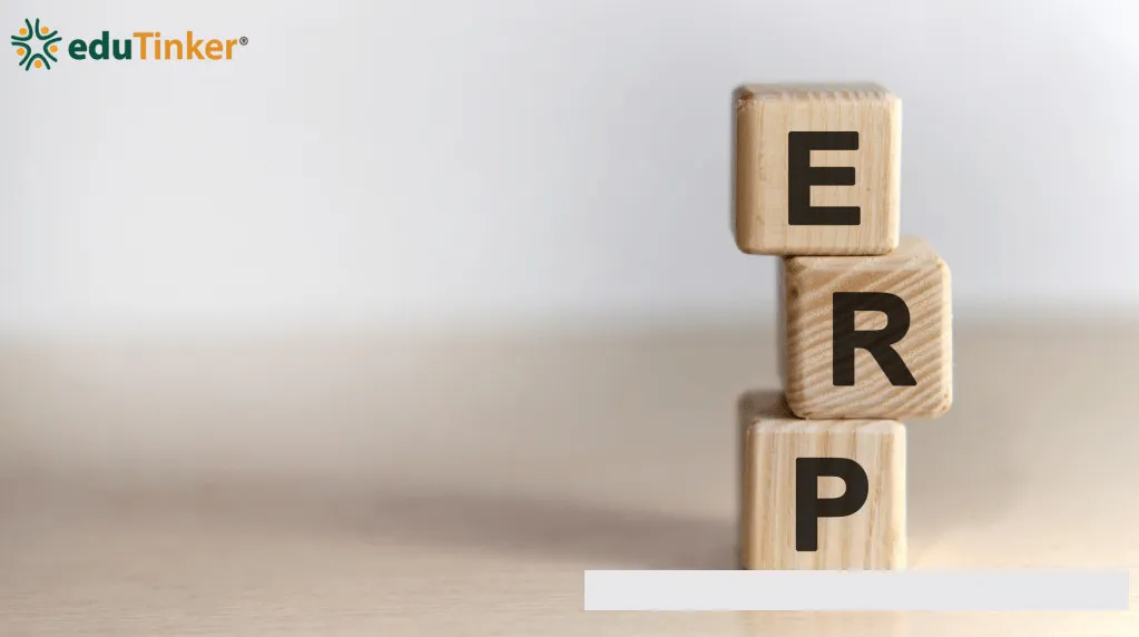 ERP system for developing countries.