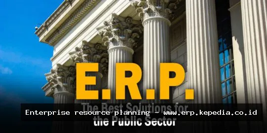 Here are a few options for alt text, keeping in mind the requirements: ERP system government policy overview ERP system government policy illustration ERP system government policy regulations