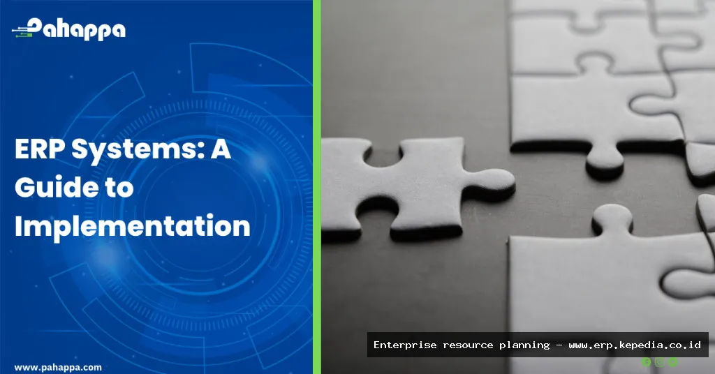ERP system implementation guide