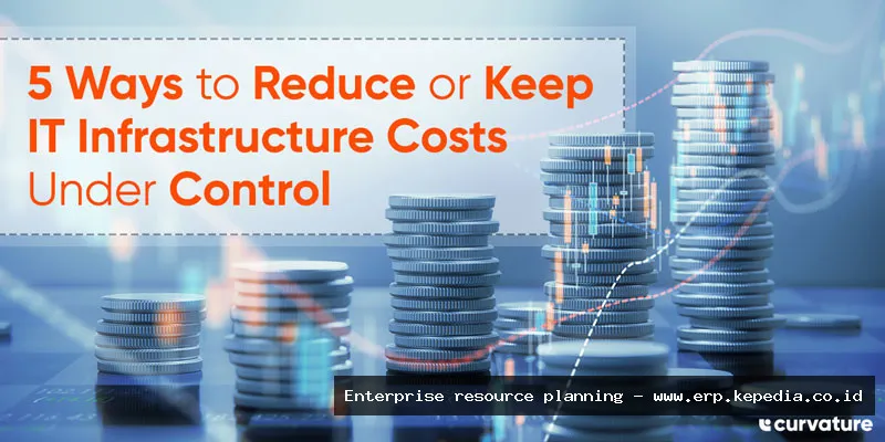 ERP system infrastructure cost